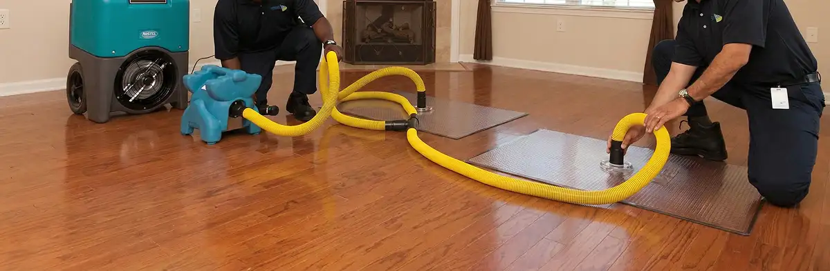emergency water removal technicians extracting standing water from a home using professional equipment in Los Angeles, CA